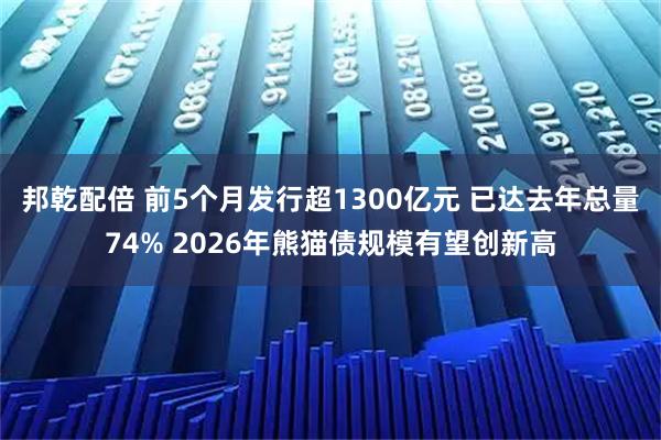 邦乾配倍 前5个月发行超1300亿元 已达去年总量74% 2026年熊猫债规模有望创新高